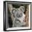 Koala Young Close-Up-null-Framed Photographic Print
