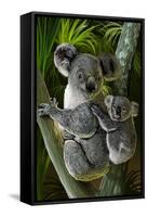 Koala-Lantern Press-Framed Stretched Canvas