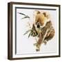 Koala-null-Framed Giclee Print