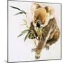 Koala-null-Mounted Giclee Print