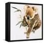 Koala-null-Framed Stretched Canvas