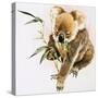 Koala-null-Stretched Canvas