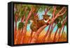 Koalas-John Newcomb-Framed Stretched Canvas