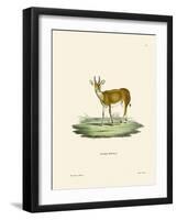 Kob-null-Framed Giclee Print