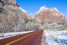 Zion Park-kobby_dagan-Photographic Print