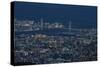 Kobe City-Rob Tilley-Stretched Canvas