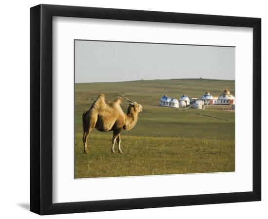 Premium Photographic Print, , large