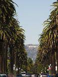 Hollywood Hills and the Hollywood Sign, Los Angeles, California, USA-Kober Christian-Photographic Print