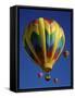 Kodak Albuquerque International Balloon Fiesta New Mexico-null-Framed Stretched Canvas