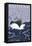 Kodiak, Alaska - Fishing Boat, c.2009-Lantern Press-Framed Stretched Canvas