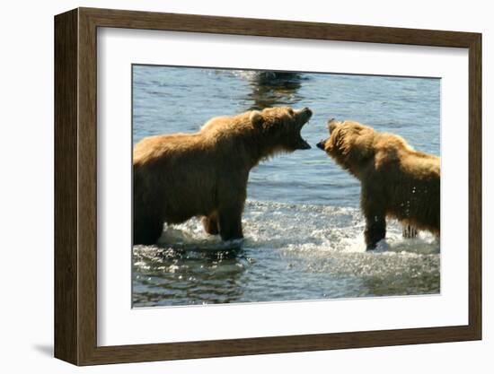 Kodiak Bear Alaska Conversation-Charles Glover-Framed Giclee Print