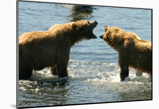 Kodiak Bear Alaska Conversation-Charles Glover-Mounted Giclee Print