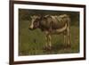 Koe, Anton Mauve-Anton Mauve-Framed Art Print