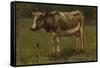 Koe, Anton Mauve-Anton Mauve-Framed Stretched Canvas