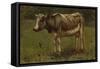 Koe, Anton Mauve-Anton Mauve-Framed Stretched Canvas