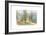 Koehlers 7-null-Framed Art Print