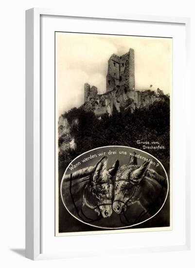 Königswinter Rhein, Ansicht Der Ruine Drachenfels, Zwei Esel-null-Framed Giclee Print