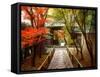 Koetsuji Temple in Autumn-null-Framed Stretched Canvas