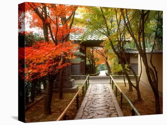 Koetsuji Temple in Autumn-null-Stretched Canvas