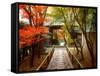 Koetsuji Temple in Autumn-null-Framed Stretched Canvas