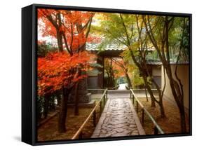 Koetsuji Temple in Autumn-null-Framed Stretched Canvas