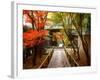 Koetsuji Temple in Autumn-null-Framed Photographic Print