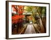 Koetsuji Temple in Autumn-null-Framed Photographic Print