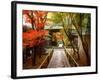 Koetsuji Temple in Autumn-null-Framed Photographic Print