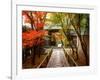 Koetsuji Temple in Autumn-null-Framed Photographic Print