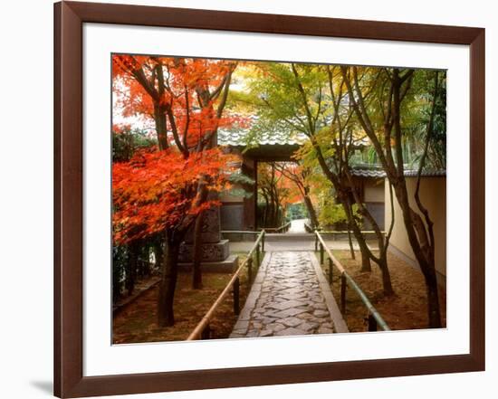 Koetsuji Temple in Autumn-null-Framed Photographic Print