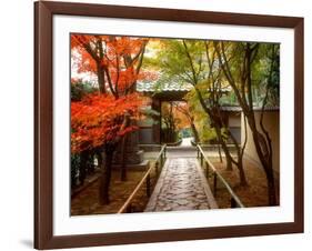 Koetsuji Temple in Autumn-null-Framed Photographic Print