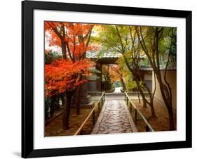 Koetsuji Temple in Autumn-null-Framed Photographic Print