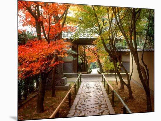 Koetsuji Temple in Autumn-null-Mounted Photographic Print