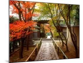 Koetsuji Temple in Autumn-null-Mounted Photographic Print