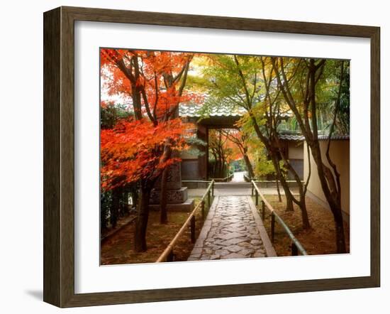 Koetsuji Temple in Autumn-null-Framed Photographic Print