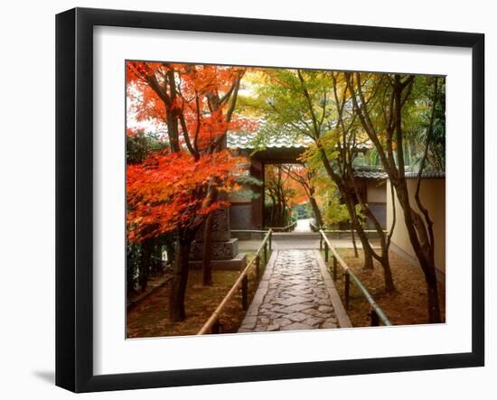 Koetsuji Temple in Autumn-null-Framed Photographic Print