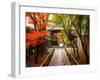 Koetsuji Temple in Autumn-null-Framed Photographic Print