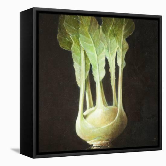 Kohl Rabi, 2012-Lincoln Seligman-Framed Stretched Canvas