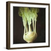 Kohl Rabi, 2012-Lincoln Seligman-Framed Giclee Print