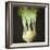 Kohl Rabi, 2012-Lincoln Seligman-Framed Giclee Print