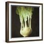 Kohl Rabi, 2012-Lincoln Seligman-Framed Giclee Print