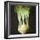 Kohl Rabi, 2012-Lincoln Seligman-Framed Giclee Print