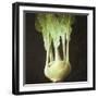 Kohl Rabi, 2012-Lincoln Seligman-Framed Giclee Print