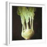 Kohl Rabi, 2012-Lincoln Seligman-Framed Giclee Print