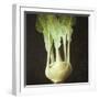 Kohl Rabi, 2012-Lincoln Seligman-Framed Giclee Print