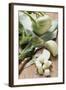 Kohlrabi, Partly Diced-Eising Studio - Food Photo and Video-Framed Photographic Print