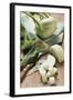 Kohlrabi, Partly Diced-Eising Studio - Food Photo and Video-Framed Photographic Print