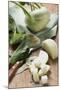 Kohlrabi, Partly Diced-Eising Studio - Food Photo and Video-Mounted Photographic Print