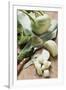 Kohlrabi, Partly Diced-Eising Studio - Food Photo and Video-Framed Photographic Print