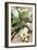 Kohlrabi, Partly Diced-Eising Studio - Food Photo and Video-Framed Photographic Print